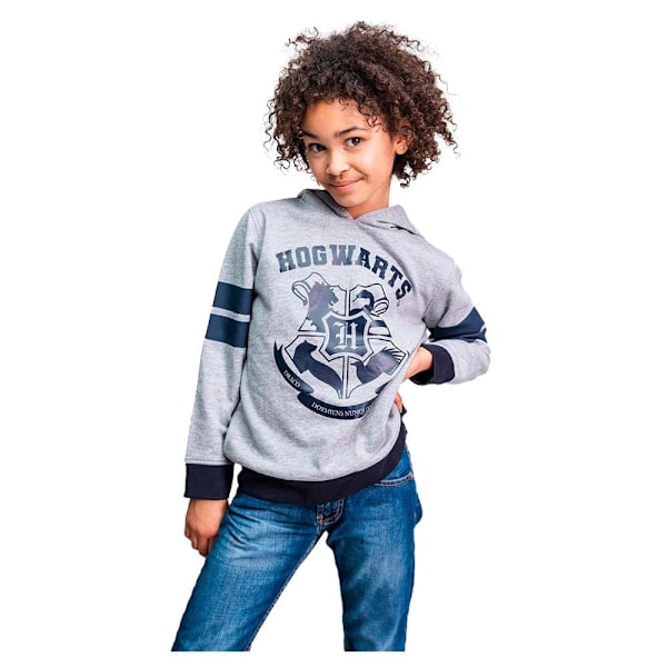Cerda Group Cotton Brushed Harry Potter Tröja Med Huva Grå8 Years