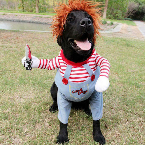 Kop Deadly Halloween Scary Dog Costumes Funny Pet Cosplay Party M Fyndiq