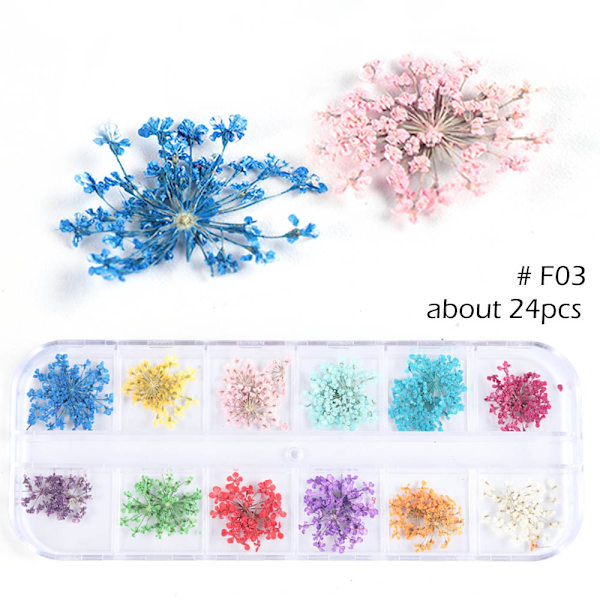 1 Case Nail Art Decorations Dried Flower Babysbreath F03