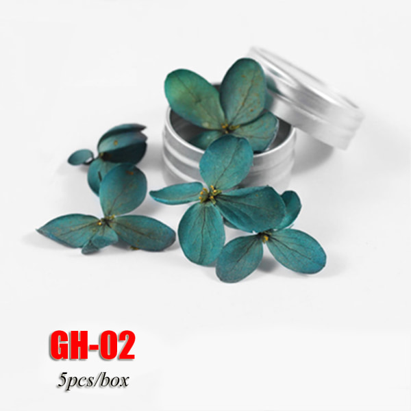 5pcs/box Nail Sticker Dried Flower Everlasting Gh-02