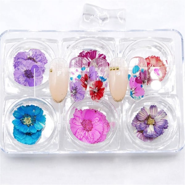 Nail Art Dried Flower Babysbreath Manicure Tips Mixed Color