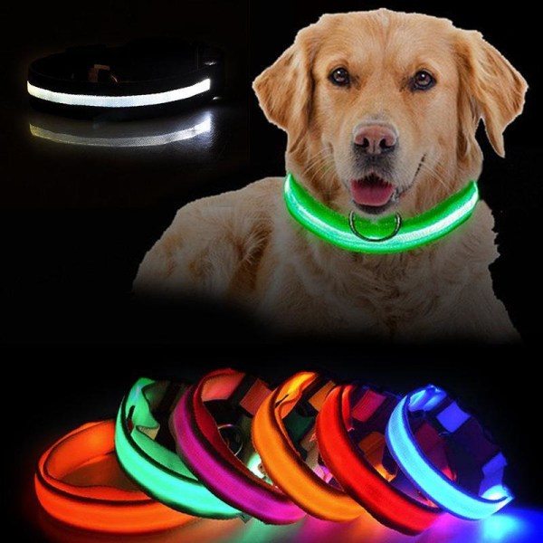 LED-hundhalsband Uppladdningsbart / Reflex & Halsband för Hund M - Grön