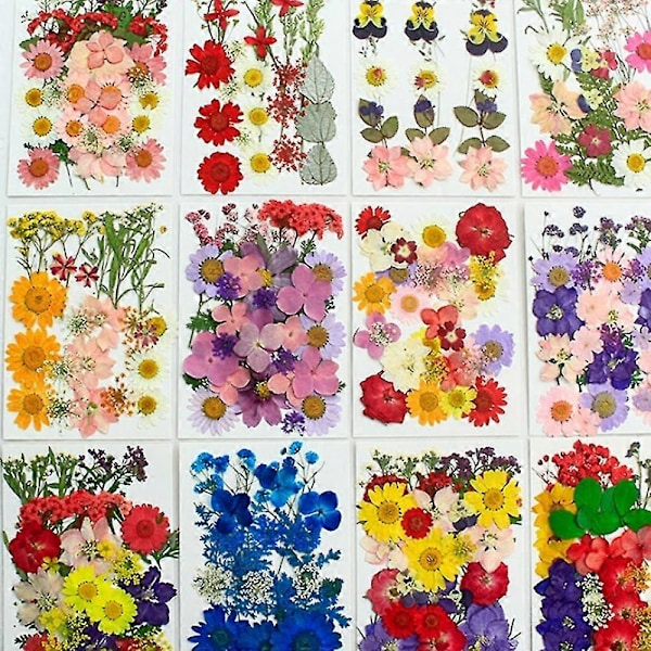 90 st Äkta Torkade Pressade Blommor, Torra Pressade Blommor för Harts Naturliga Pressade Blommor Blad Färgglada Torkade Pressade Blommor för DIY Hantverk Ljus J