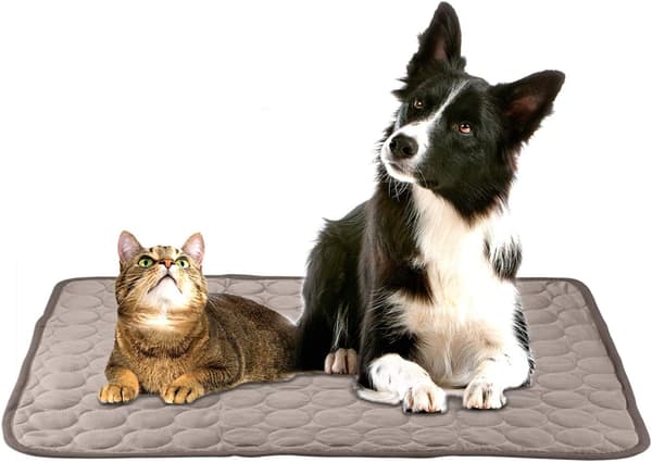 Kjølematte for Hund, Selvkjølende Gel Pad Katt Kjølematte Innendørs Utendørs Katt Kald Matte Om Sommeren Varmt Blå L(100*70cm)