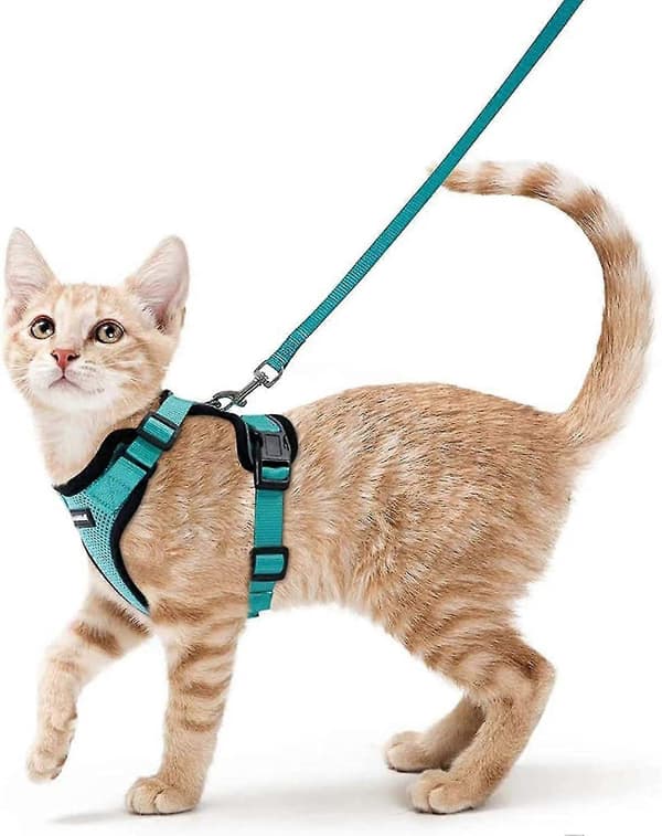 Kattesele Lille Hundesnor Justerbar Killingesele Sort Xs Halsbånd Reflekterende Kattesele Vest Åndbar Vest Til Kanin, Europæisk Kat