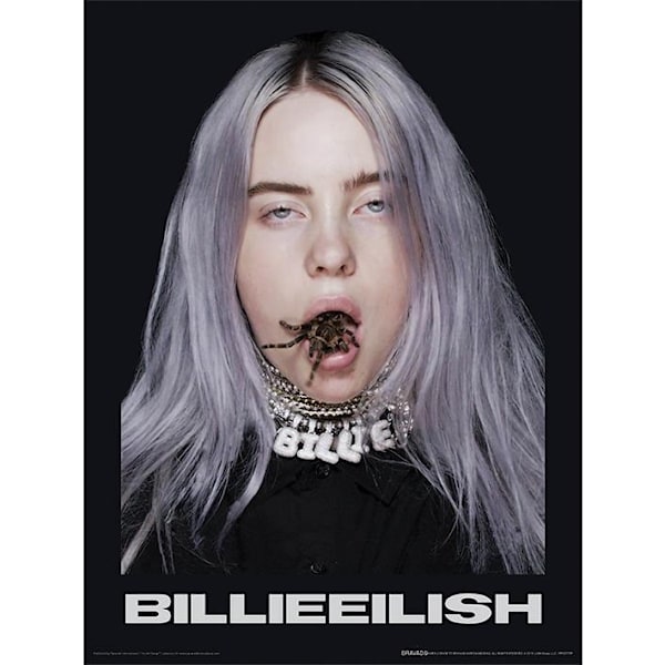 Billie Eilish Spider Poster 40cm x 30cm Svart