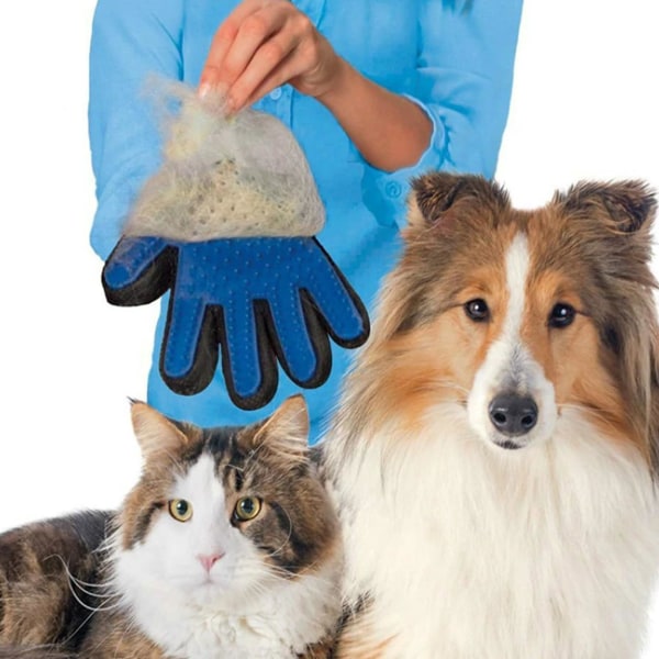 Megabilligt Børste Handske Til Hunde Katte Kæledyr Dyre Pels Blå