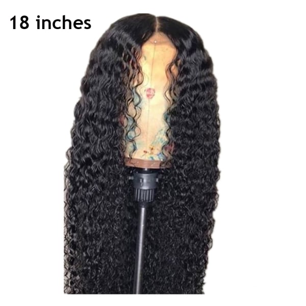 Curly Wig Lace Front Long Hair 18 Inch