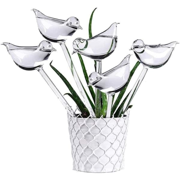 10-pakning glass selvvanning, transparente fugleformede glober plantevanner for innendørsplanter hageinnsatser blomster_tfrf