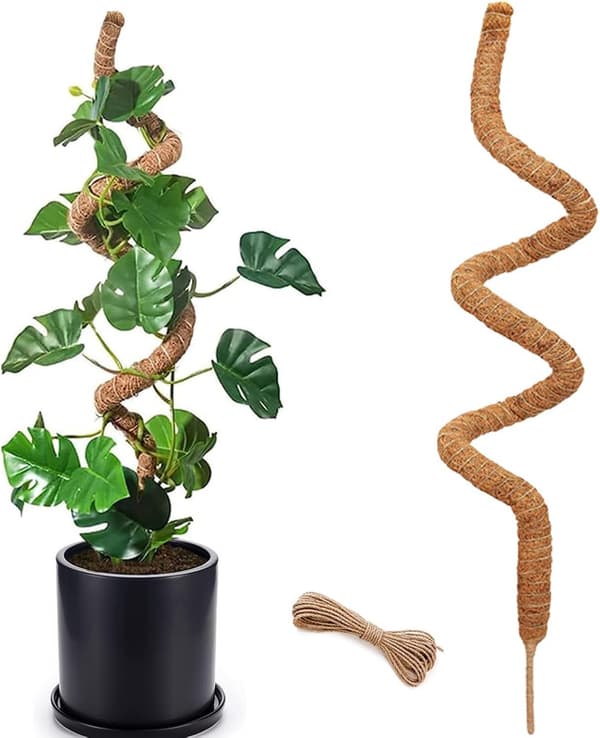 Mossastav Bøjbar 70-100cm, Plantestøtte / støttestav – Klatreplanter, 1 / 2-pakke