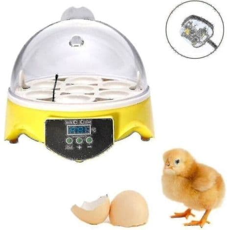 Automatisk fjerkrææginkubator (7 æg) med temperaturkontrol. Kyllingeklækker Z-HG - Perfekt