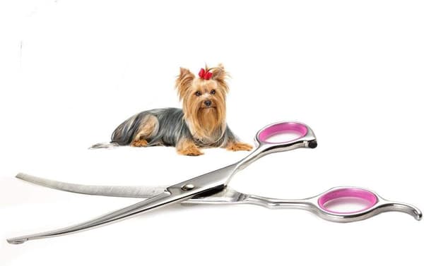 Hundefrisørsaks Buet 7 Tommer Rustfrit Stål med Sikkerhedsrundede Spidser Professionel Kæledyrsplejesaks til Hunde og Katte