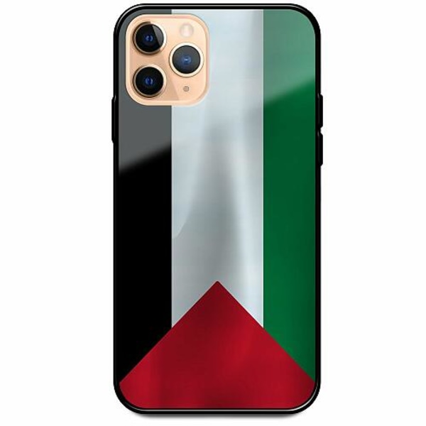 Köp Apple iPhone 12 Pro Svart Mobilskal med Glas Palestina Flagga | Fyndiq