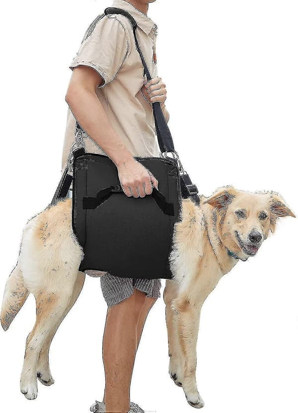 Hundebæresele, Nødsekk Kjæledyr Bein Støtte & Rehabilitering Hund (svart) Løfte Sele For Kloklipping, Hundebærer PK