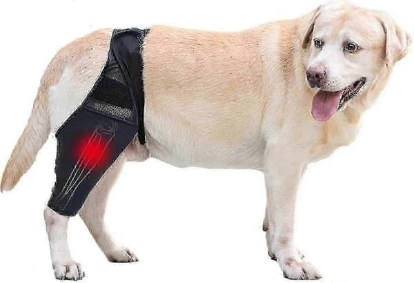 Ortopædisk knæstøtte til hunde til korsbånd og hoftestøtte