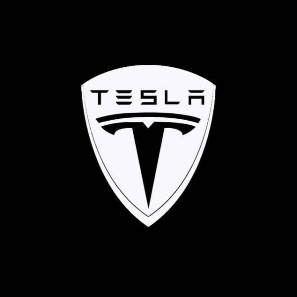 No name 2 Stk. Velegnet Til Tesla Velkomstlys Dedikeret Model3