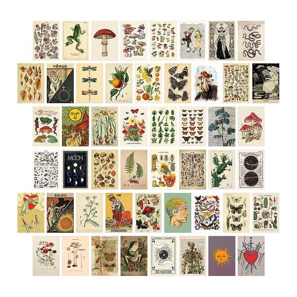 50 stk Vintage Botanisk Tarot Estetisk Veggcollage Kit & Fauna Insekter Illustrasjon Kunstplakater C