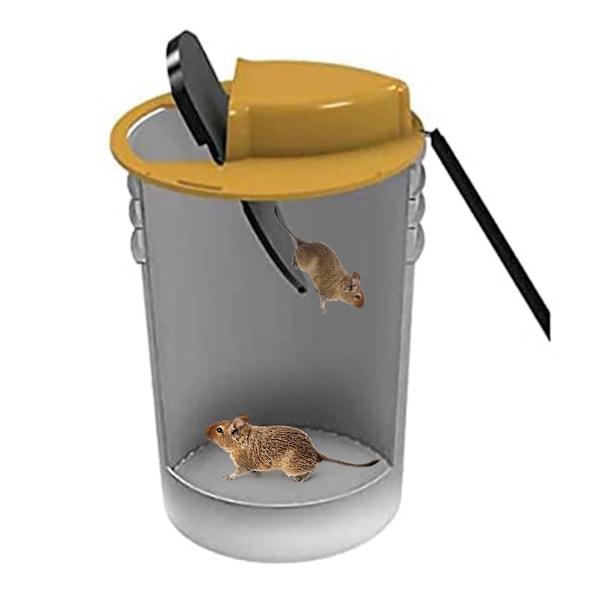 musfälla
