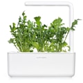 Miniatyrbilde 1 av 4: Click & Grow Smart Garden refill Arugula 3pcs