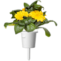 Miniatyrbillede 2 af 6: Click & Grow Smart Refill Marigold 3pcs