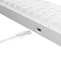 Miniatyrbillede 4 af 8: White Shark GK-2022 Shinobi Red Switch, White US