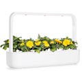 Miniatyrbillede 4 af 6: Click & Grow Smart Refill Marigold 3pcs