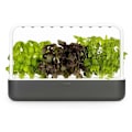 Miniatyrbillede 3 af 3: Click & Grow Smart Garden 9, grey
