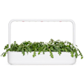 Miniatyrbilde 1 av 5: Click & Grow Smart Garden refill Shungiku 3pcs