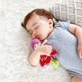 Miniatyrbillede 3 af 6: HAPE soft toy Flowerini, E0028