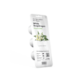 Miniatyrbillede 4 af 4: Click & Grow Smart Refill White Snapdragon 3pcs