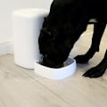 Miniatyrbilde 8 av 10: Tellur Dispenser Mancare Smart, 4L, alb