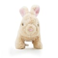Miniatyrbillede 3 af 4: PUGS AT PLAY Cookie Jumping Rabbit