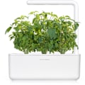 Pikkukuva 3 / 5: Click & Grow Smart Garden refill Thai Basil 3pcs