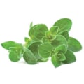 Miniatyrbilde 1 av 4: Click & Grow Smart Garden refill Oregano 3pcs