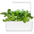 Miniatyrbillede 3 af 3: Click & Grow Smart Garden refill Pak Choi 3pcs