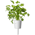 Miniatyrbilde 4 av 5: Click & Grow Plant Pod Steak Mix 9pcs