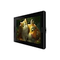 Miniatyrbild 3 av 7: Graphic Display Tablet HUION Kamvas Pro 13, USB-C, Black/Silver
