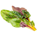 Miniatyrbilde 4 av 5: Click & Grow Smart Refill Rainbow Chard 3pcs