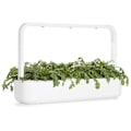 Pikkukuva 2 / 5: Click & Grow Smart Garden refill Shungiku 3pcs