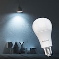 Miniatyrbillede 5 af 7: Tellur Smart WiFi Bulb E27, 9W, White/Warm, Dimmer