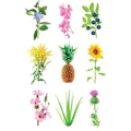 Miniatyrbillede 3 af 3: Click & Grow Smart Garden refill Grow Anything 3tk