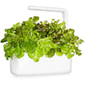 Miniatyrbilde 2 av 4: Click & Grow Smart Refill Red Oakleaf Lettuce 3pcs
