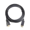 Pikkukuva 1 / 3: Gembird CC-DPM-DVIM-6 video cable adapter 1.8 m DisplayPort DVI Black