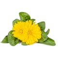 Miniatyrbilde 3 av 6: Click & Grow Smart Refill Marigold 3pcs