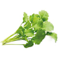 Miniatyrbillede 1 af 4: Click & Grow Smart Garden refill Cress 3pcs