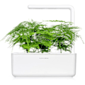 Miniatyrbilde 4 av 5: Click & Grow Smart Refill Feather spar 3pcs