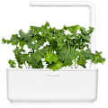 Miniatyrbilde 2 av 4: Click & Grow Smart Refill Green Kale 3pcs