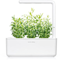 Miniatyrbillede 4 af 4: Click & Grow Smart Garden refill Hyssop 3pcs