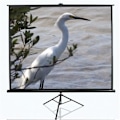 Miniatyrbillede 1 af 7: Elite Screens | Tripod Series | T120UWV1 | Diagonal 120 " | 4:3 | Viewable screen width (W) 244 cm | Black
