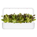 Miniatyrbillede 2 af 4: Click & Grow Smart Refill Red romaine lettuce 3pcs